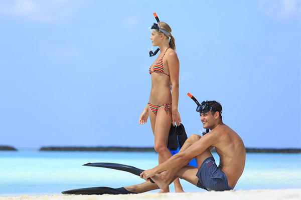 馬爾代(dai)夫椰子(zi)島