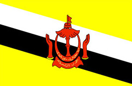 文(wén)萊旅遊簽證【